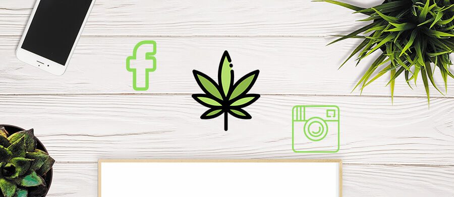 Cannabis Social Media Marketing – HigherVisibility